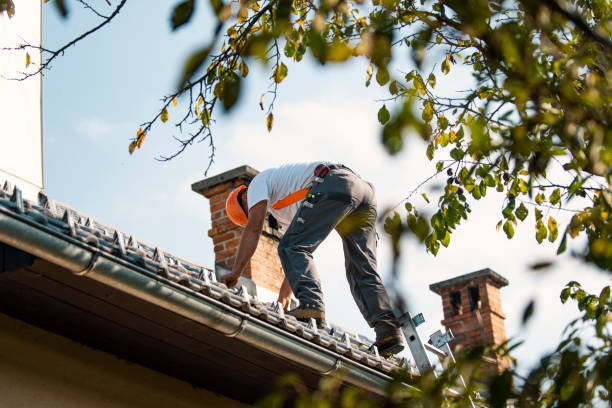 Best Roof Restoration Services  in Saucier, MS