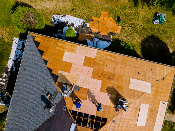 Best Roof Maintenance Services  in Saucier, MS