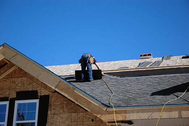 Best Shingle Roofing Installation  in Saucier, MS