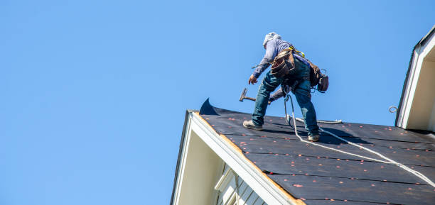Best Best Roofing Contractors  in Saucier, MS